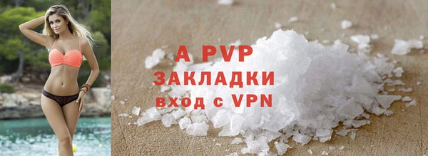 ECSTASY Беломорск