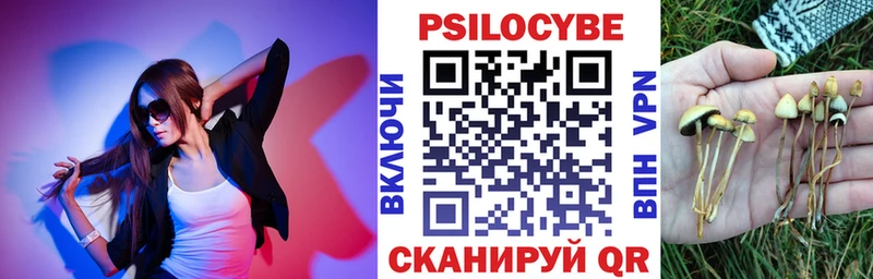 Псилоцибиновые грибы мицелий  магазин продажи наркотиков  Сердобск 