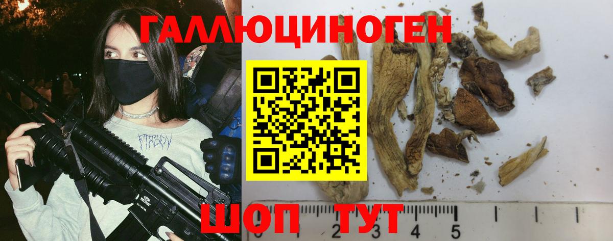 Сердобск  Галлюциногенные грибы прущие грибы  Вход с VPN 